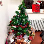 Screenshot_20231216_195334_WhatsApp